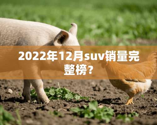 2022年12月suv销量完整榜？