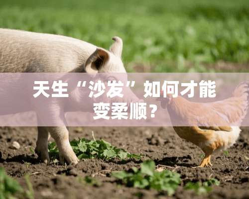 天生“沙发”如何才能变柔顺？