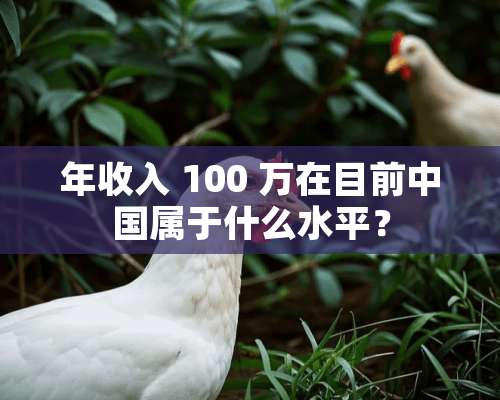 年收入 100 万在目前中国属于什么水平？