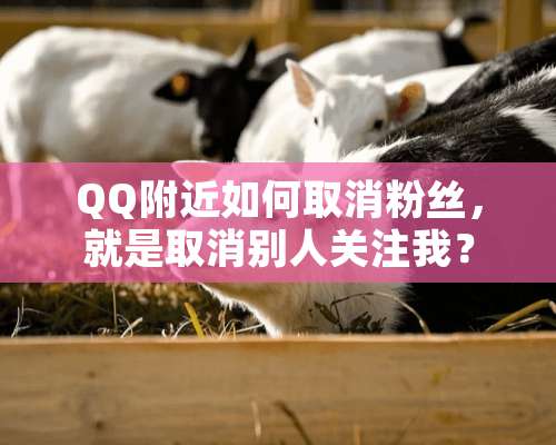 QQ附近如何取消粉丝，就是取消别人关注我？