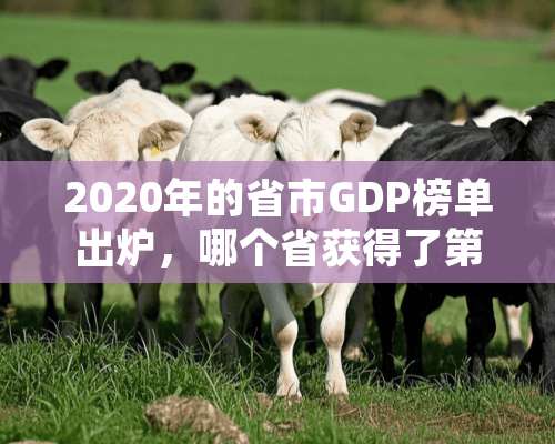 2020年的省市GDP榜单出炉，哪个省获得了第一？