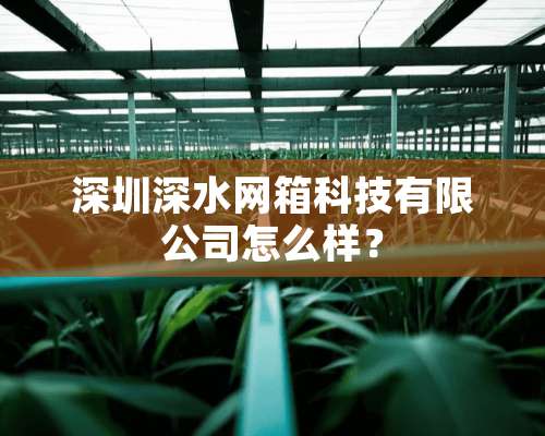 深圳深水网箱科技有限公司怎么样？