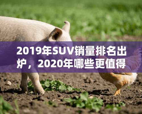 2019年SUV销量排名出炉，2020年哪些更值得选择呢？