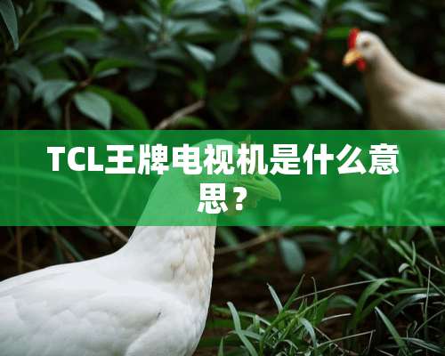 TCL王牌电视机是什么意思？