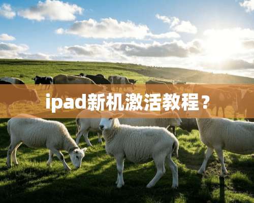 ipad新机激活教程？