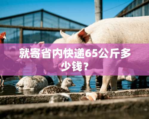 就寄省内快递65公斤多少钱？