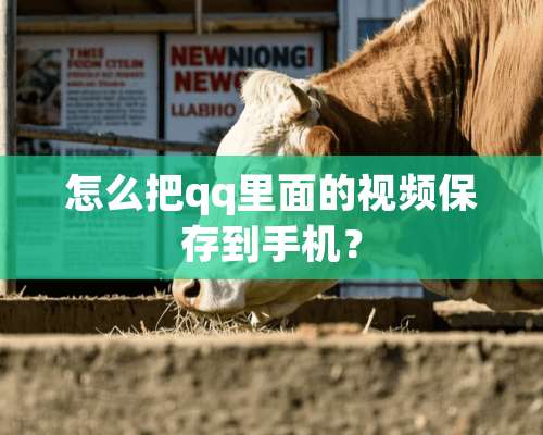 怎么把qq里面的视频保存到手机？