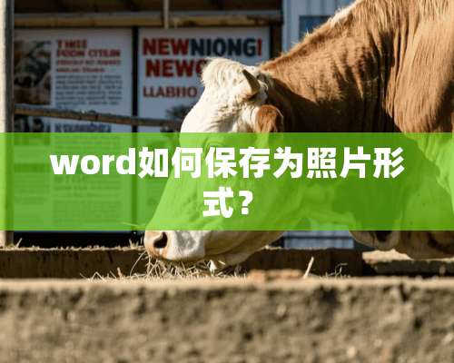 word如何保存为照片形式？