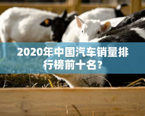 2020年中国汽车销量排行榜前十名？