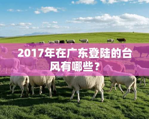 2017年在广东**的台风有哪些？