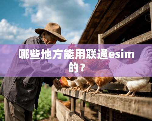 哪些地方能用联通esim的？