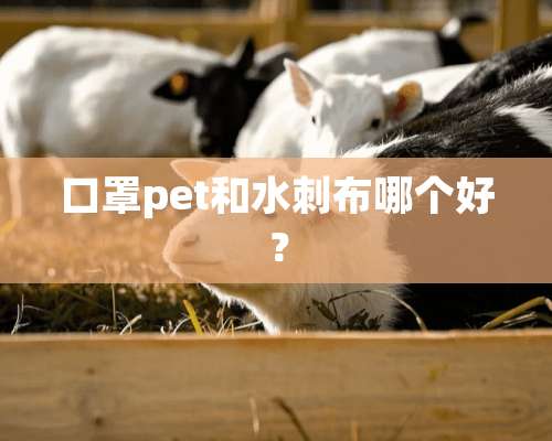 口罩pet和水刺布哪个好？