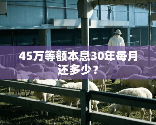 45万等额本息30年每月还多少？