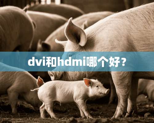 dvi和hdmi哪个好？