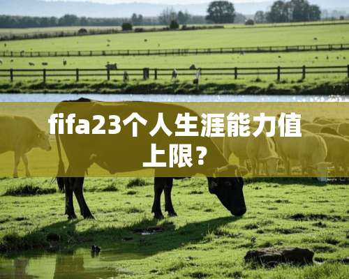 fifa23个人生涯能力值上限？