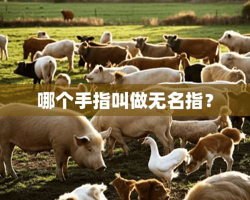 哪个手指叫做无名指？