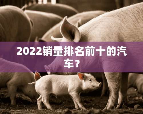 2022销量排名前十的汽车？