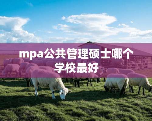 mpa公共管理硕士哪个学校最好