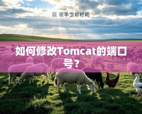 如何修改Tomcat的端口号？