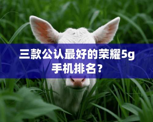 三款公认最好的荣耀5g手机排名？