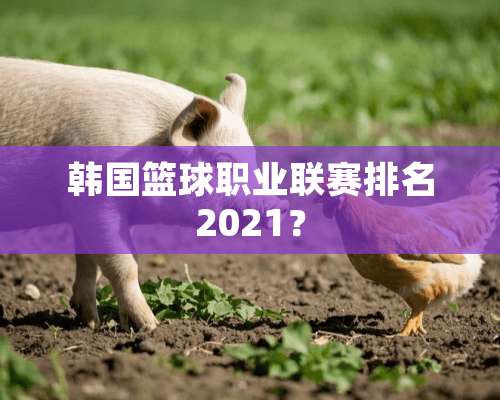 韩国篮球职业联赛排名2021？