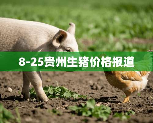 8-25贵州生猪价格报道