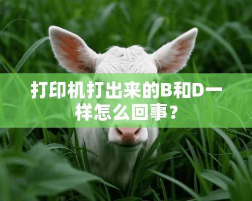 打印机打出来的B和D一样怎么回事？