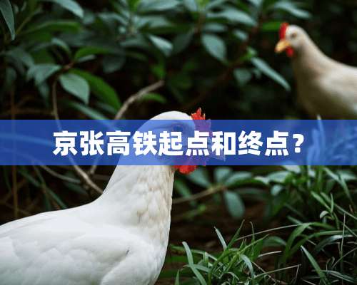 京张高铁起点和终点？