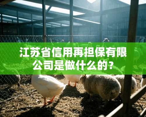 江苏省信用再担保有限公司是做什么的？