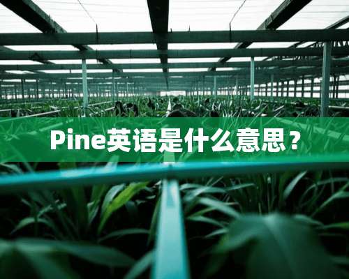 Pine英语是什么意思？