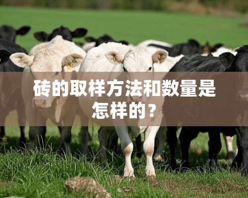 砖的取样方法和数量是怎样的？