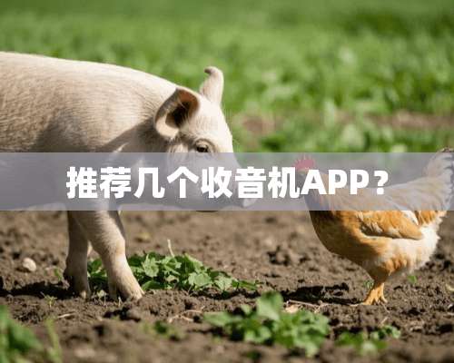 推荐几个收音机APP？