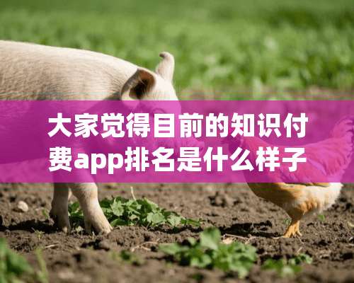 大家觉得目前的知识付费app排名是什么样子的？