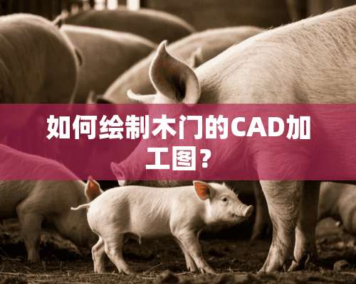 如何绘制木门的CAD加工图？