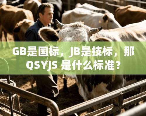 GB是国标，JB是技标，那QSYJS 是什么标准？