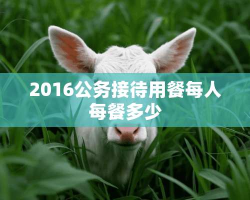 2016公务接待用餐每人每餐多少