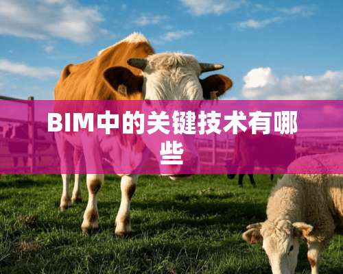 BIM中的关键技术有哪些