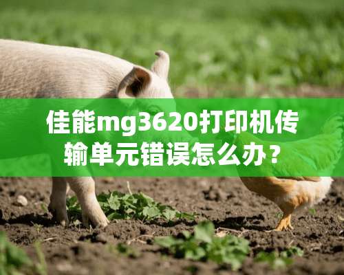 佳能mg3620打印机传输单元错误怎么办？