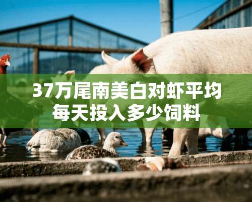 37万尾南美白对虾平均每天投入多少饲料