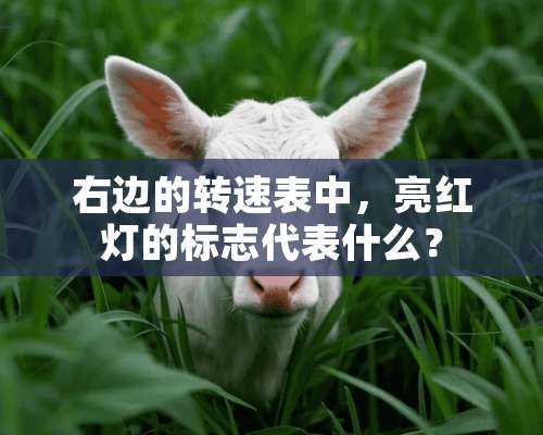 右边的转速表中，亮红灯的标志代表什么？