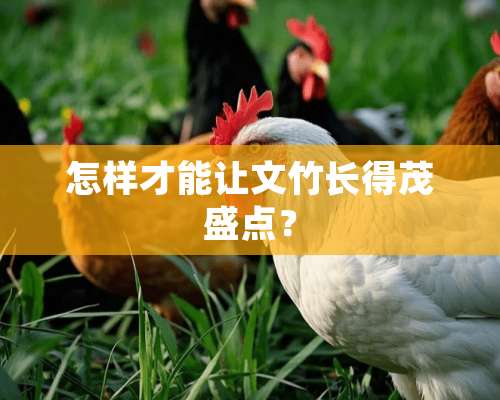 怎样才能让文竹长得茂盛点？