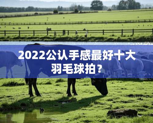 2022公认手感最好十大羽毛球拍？