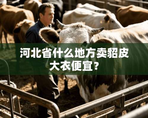 河北省什么地方卖貂皮大衣便宜？