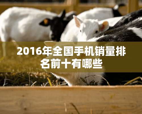 2016年全国手机销量排名前十有哪些