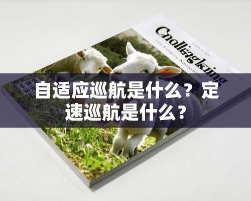 自适应巡航是什么？定速巡航是什么？