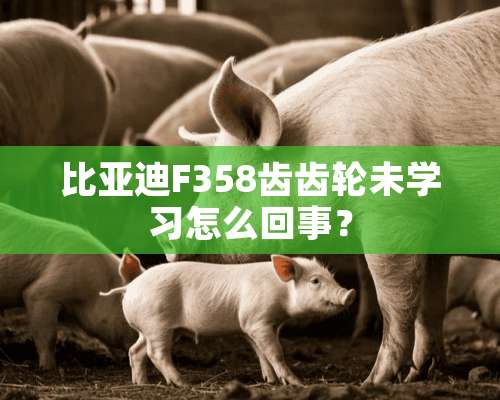 比亚迪F358齿齿轮未学习怎么回事？