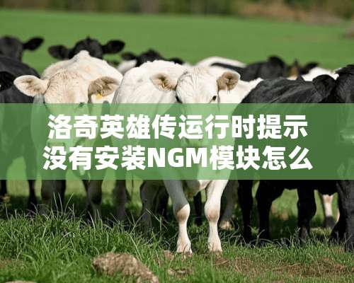 洛奇英雄传运行时提示没有安装NGM模块怎么回事