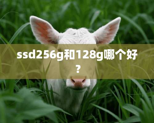 ssd256g和128g哪个好？