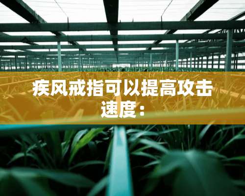 疾风戒指可以提高攻击速度：