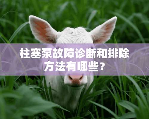 柱塞泵故障诊断和排除方法有哪些？